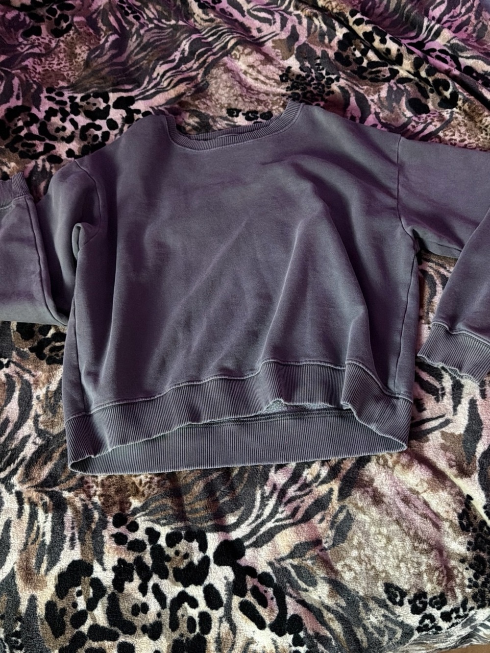 American Eagle blue sweatshirt